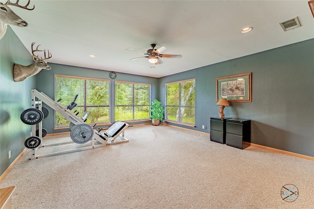 workout area with ceiling fan, a wealth of natural light, and carpet