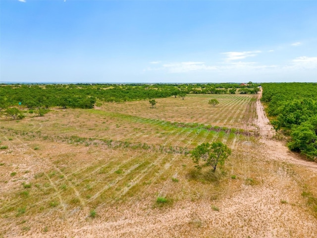 birds eye view of property featuring a rural view