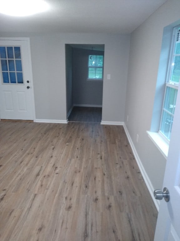 spare room with wood-type flooring