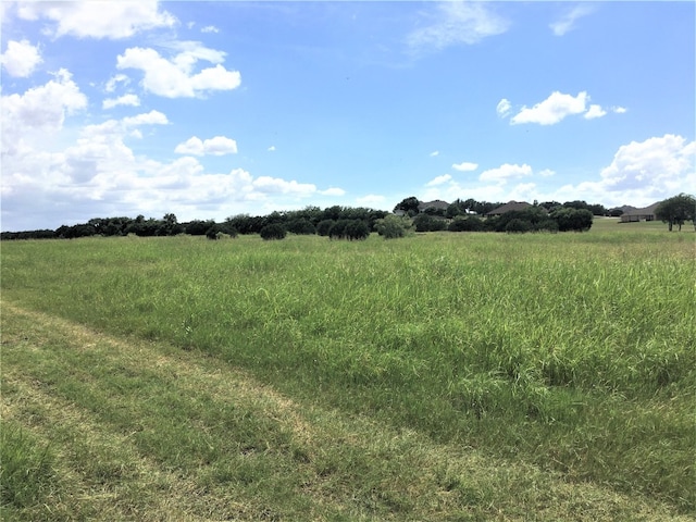 Listing photo 2 for TBD Highway 377, Cresson TX 76035