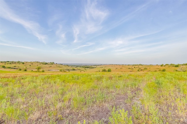 Listing photo 2 for LOT1R Old Springtown Rd, Weatherford TX 76085