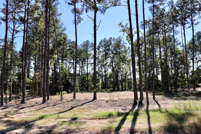 204 Chapel Creek Dr Unit 33, Princeton, LA 71067