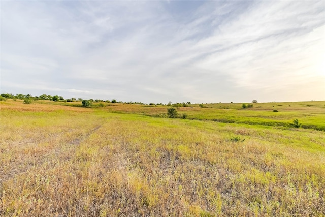 Listing photo 3 for LOT17R Old Springtown Rd, Weatherford TX 76085