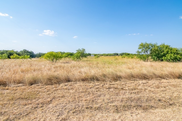 Listing photo 3 for TBD E Fm 45th Hwy E, Brownwood TX 76801