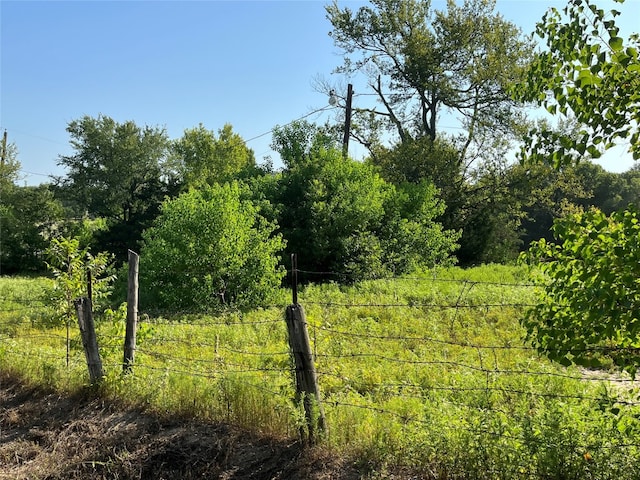 view of nature