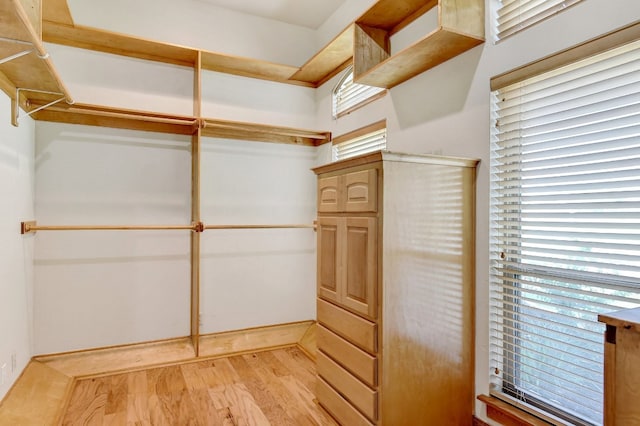 walk in closet with light wood-type flooring