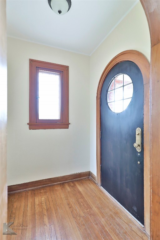 foyer featuring plenty of natural light and light wood-type flooring