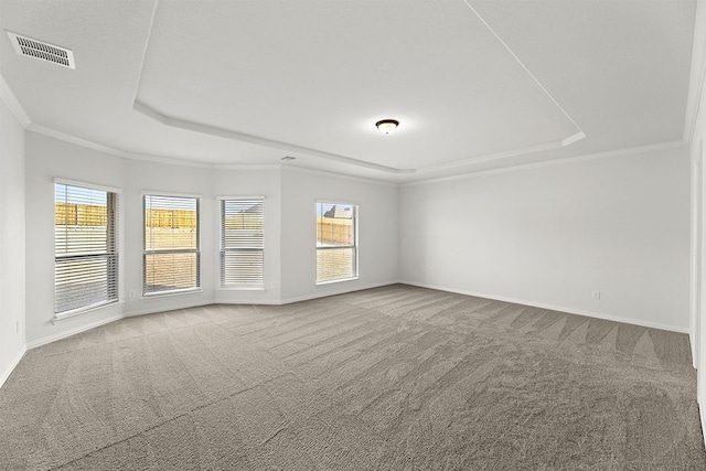 carpeted empty room with a raised ceiling and crown molding