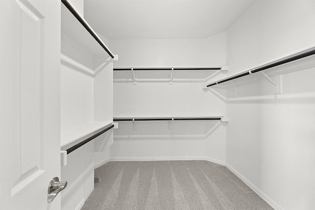 walk in closet featuring light carpet