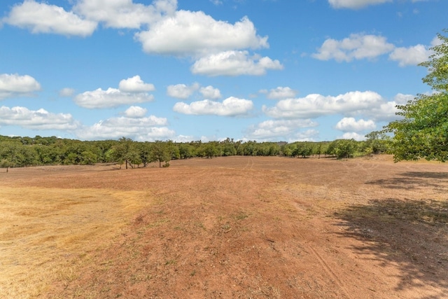 view of local wilderness featuring a rural view