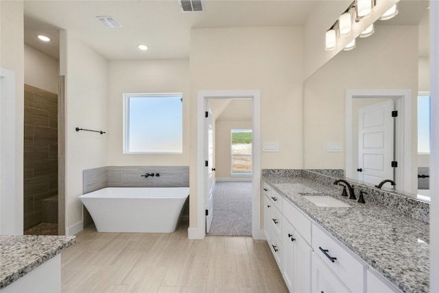 bathroom with vanity and independent shower and bath