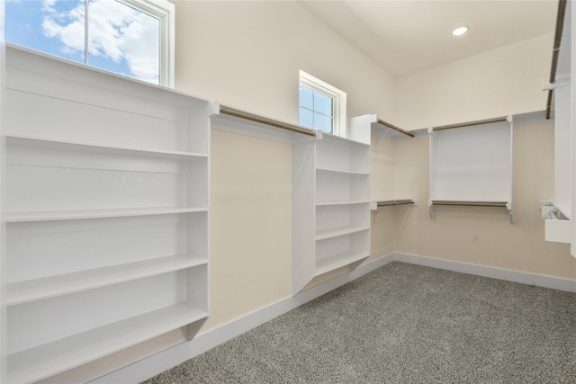 spacious closet with carpet