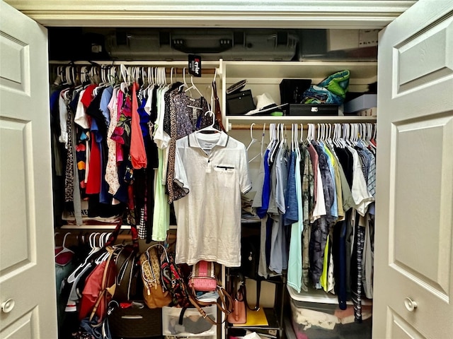 view of closet