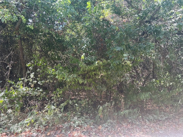 LOT97 Westwood Dr, Trinidad TX, 75163 land for sale