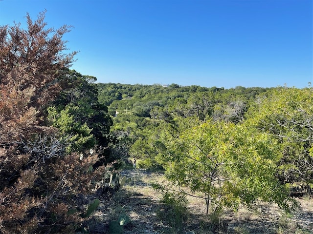 Listing photo 3 for 1224 County Road 1190, Kopperl TX 76652