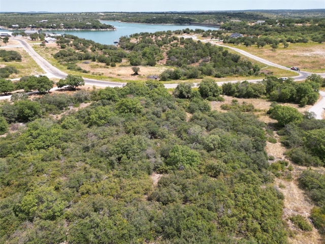 LOT114 Hidden Shores Dr, Cisco TX, 76437 land for sale