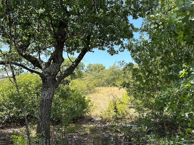 Listing photo 2 for LOT114 Hidden Shores Dr, Cisco TX 76437