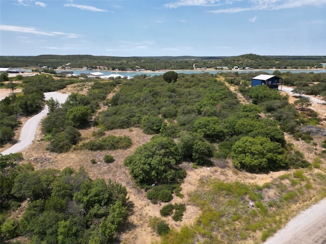 Listing photo 3 for LOT114 Hidden Shores Dr, Cisco TX 76437