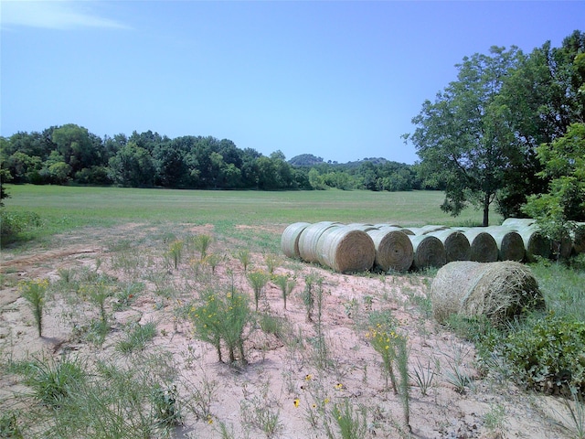 Listing photo 2 for Lot1 Starr Man, Saint Jo TX 76265