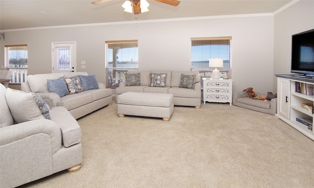 carpeted living room with crown molding, ceiling fan, and plenty of natural light