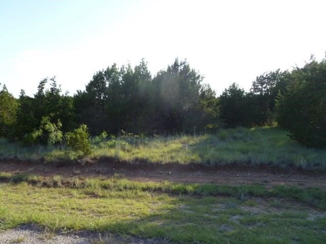 Listing photo 2 for 5043 Horseshoe Dr, Whitney TX 76692