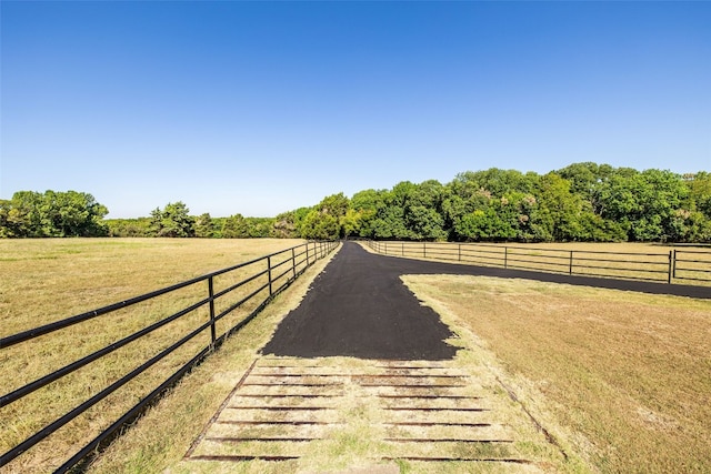 view of yard featuring a rural view