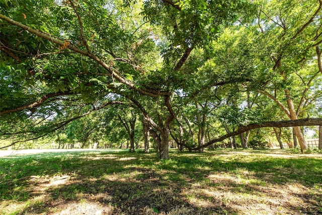 view of nature