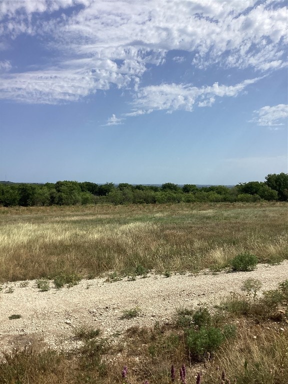 276 Nieces Trl, Aledo TX, 76008 land for sale