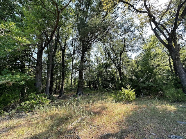 Listing photo 2 for 87ACRES Farm Road 269, Pickton TX 75471