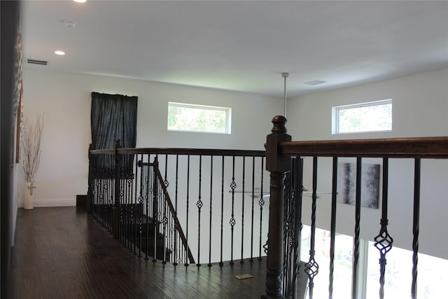 hallway featuring dark hardwood / wood-style floors and a wealth of natural light