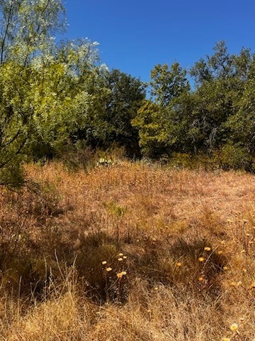 Listing photo 3 for TBD Sportsman Dr, Brownwood TX 76801