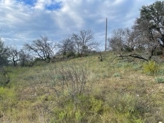 Listing photo 3 for TBD Newcastle Dr, Brownwood TX 76801