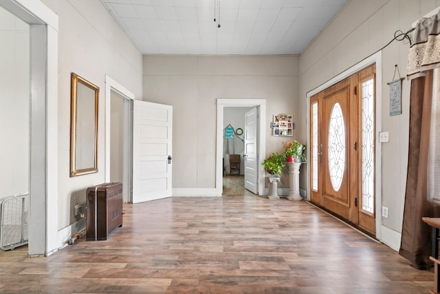 foyer entrance featuring dark wood-type flooring