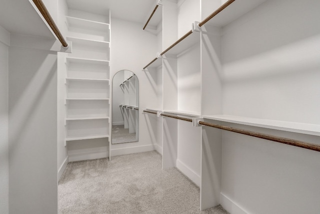 spacious closet featuring light colored carpet