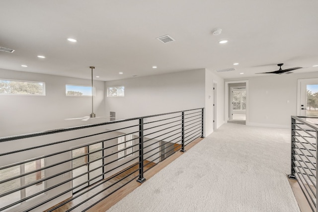 corridor featuring light hardwood / wood-style flooring and a wealth of natural light