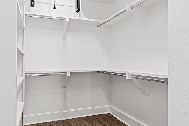 spacious closet featuring dark hardwood / wood-style floors