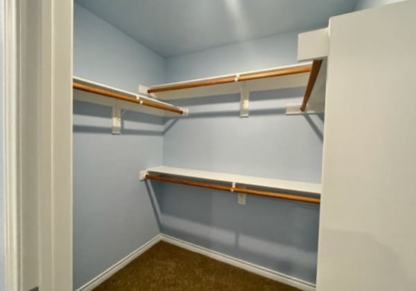 walk in closet with dark carpet