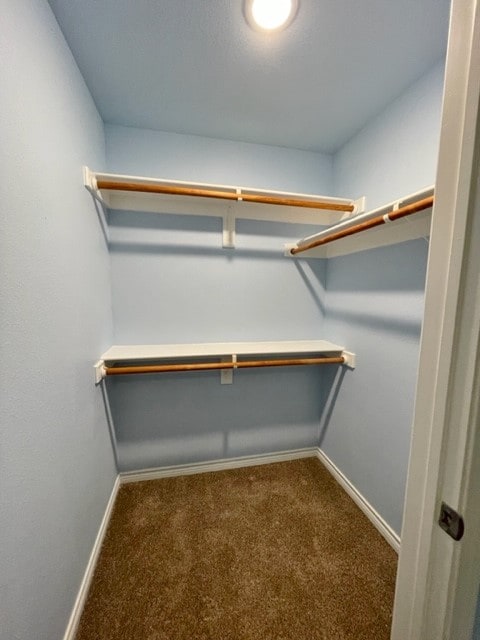 walk in closet featuring carpet