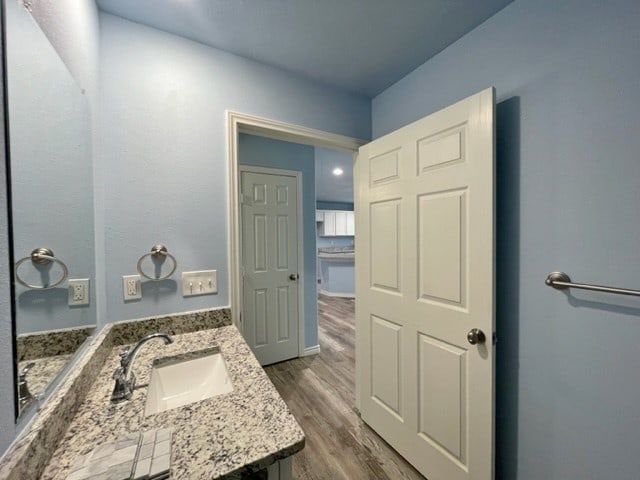 bathroom with hardwood / wood-style flooring and vanity