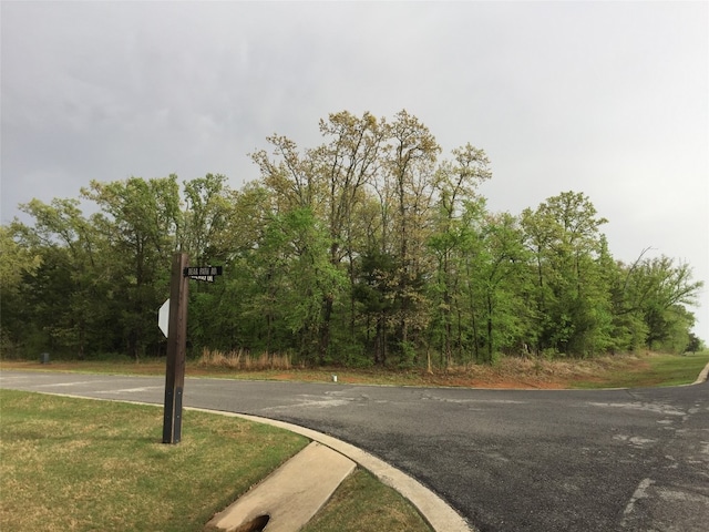 Listing photo 2 for LOT1 Bear Path Rd, Gordonville TX 76245