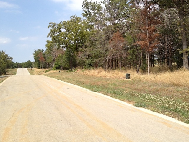 Listing photo 3 for LOT1 Bear Path Rd, Gordonville TX 76245