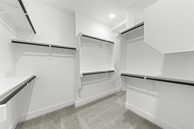 spacious closet with light colored carpet