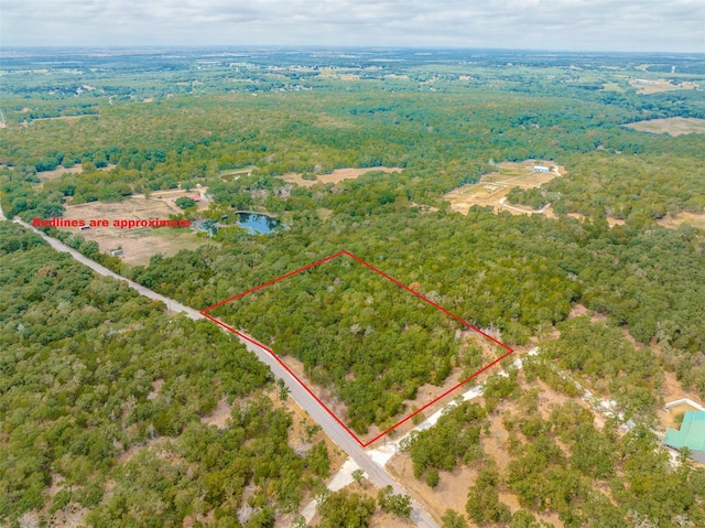 209 Red Top Rd, Valley View TX, 76272 land for sale