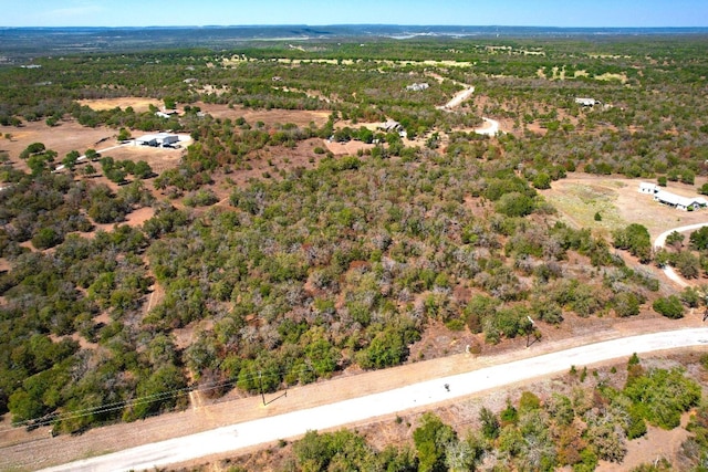 Listing photo 3 for 1257 Prickly Pear Trl, Gordon TX 76453