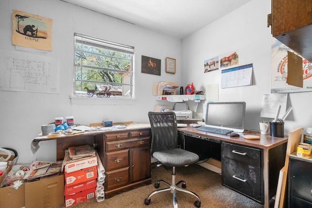 office with dark carpet