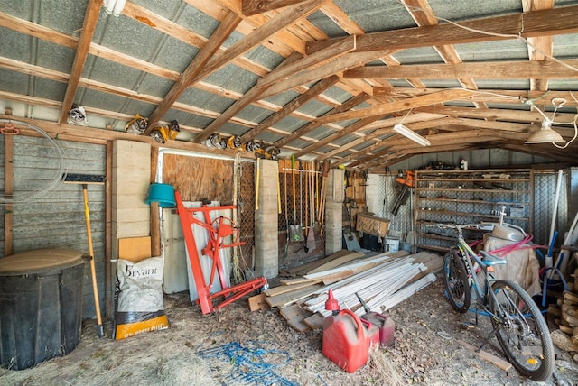 misc room with lofted ceiling