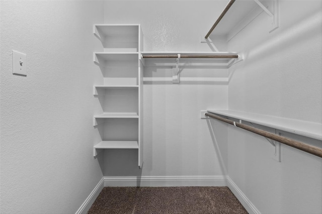 spacious closet with carpet floors