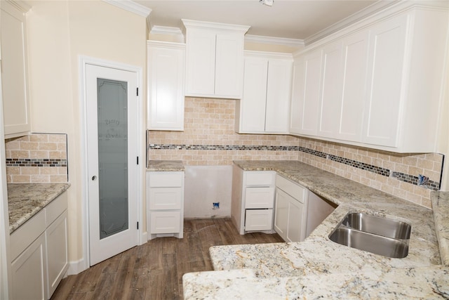 kitchen featuring light stone countertops, decorative backsplash, dark wood-style flooring, a sink, and crown molding