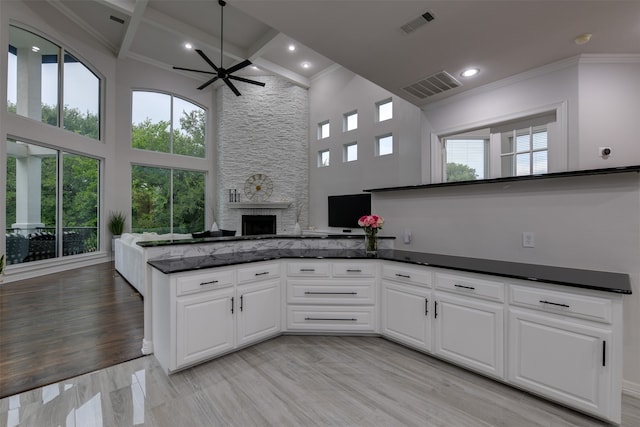 kitchen featuring a fireplace, light hardwood / wood-style floors, a healthy amount of sunlight, and coffered ceiling