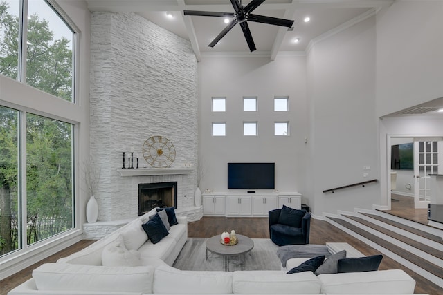 living room with a stone fireplace, a high ceiling, plenty of natural light, and dark hardwood / wood-style flooring